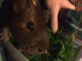 2018-07-05 Charlotte (c) Kerry Hyde.jpg